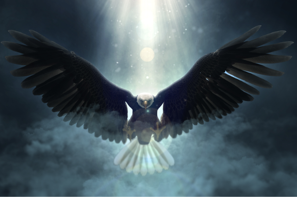 Aguila Alas Abiertas