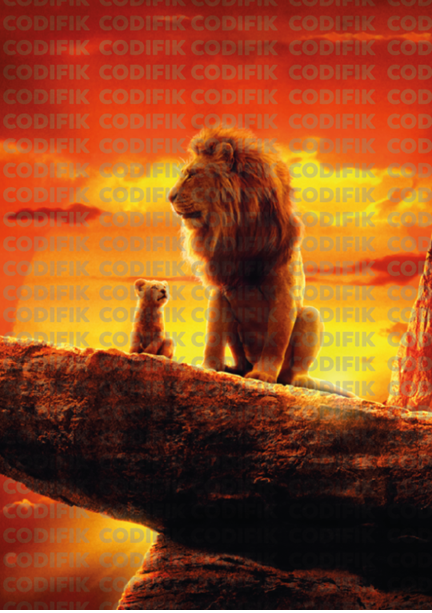 CDK-00127 - Familia Leones 22