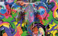 CDK-ANI-00100 - Elefante grafitiado PopArt