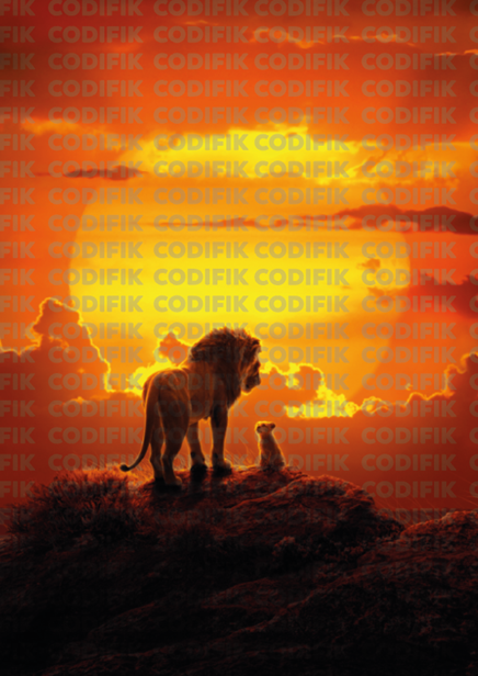 CDK-00128 - Familia Leones 23