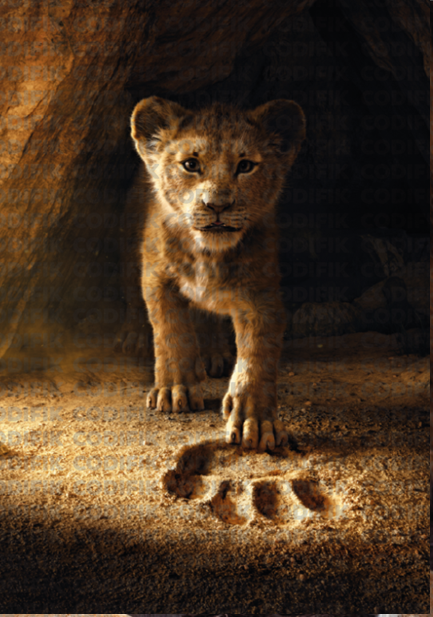 CDK-00126 - Familia Leones 21
