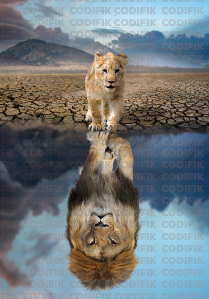 CDK-00124 - Familia Leones 19